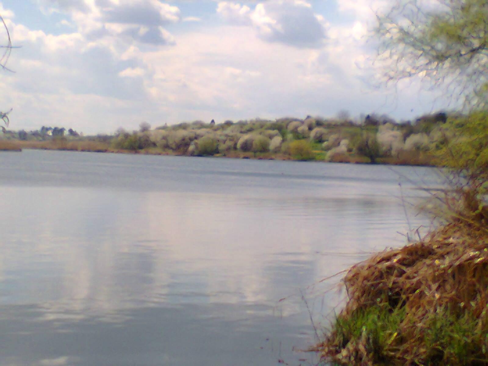 Tancabesti - fotografie0041.jpg